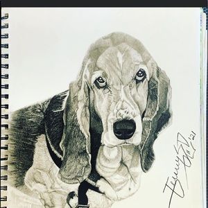 Meet your Posher, Paul